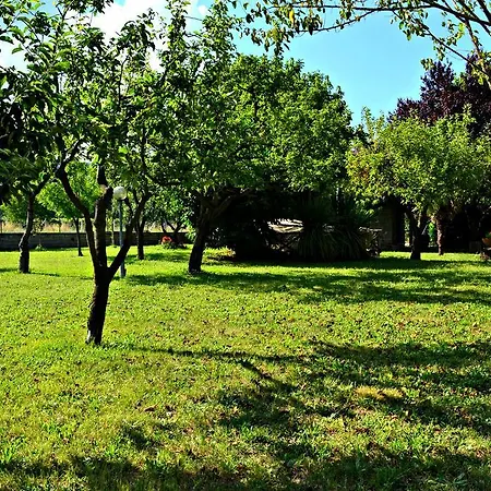 La Taverna Bed & Breakfast Genazzano
